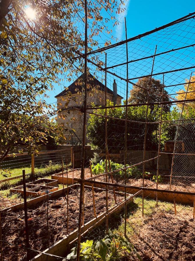 Pool House-L'Hirondelle De Sermizelles- Grand Jardin, Calme Et Nature Aux Portes Du Morvan Eksteriør bilde