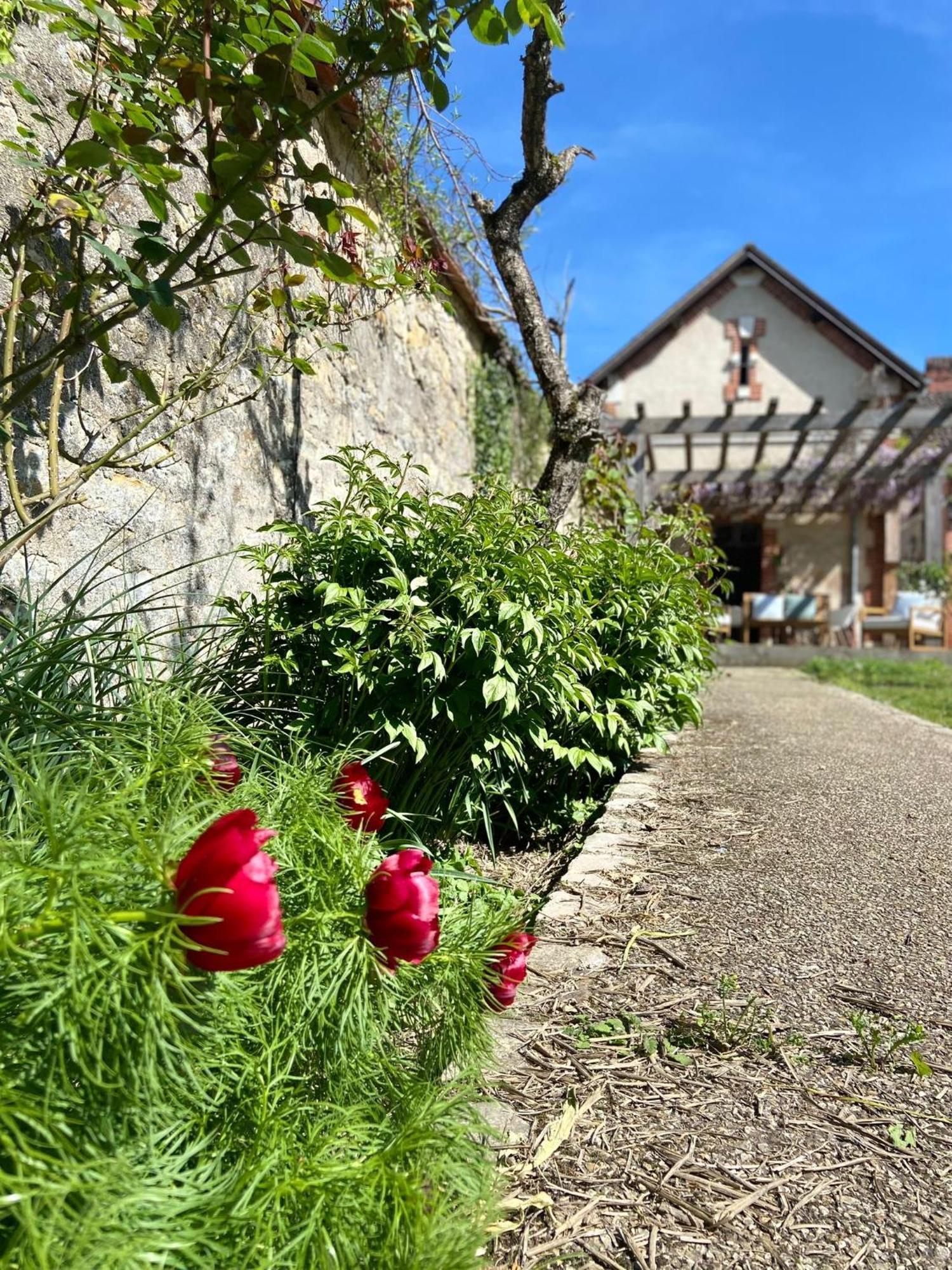 Pool House-L'Hirondelle De Sermizelles- Grand Jardin, Calme Et Nature Aux Portes Du Morvan Eksteriør bilde